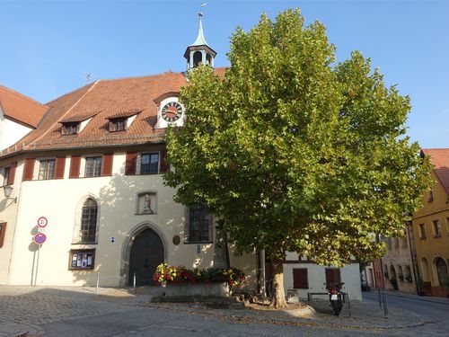 Platane vor Spitalkirche Hersbruck Heide Frobel large