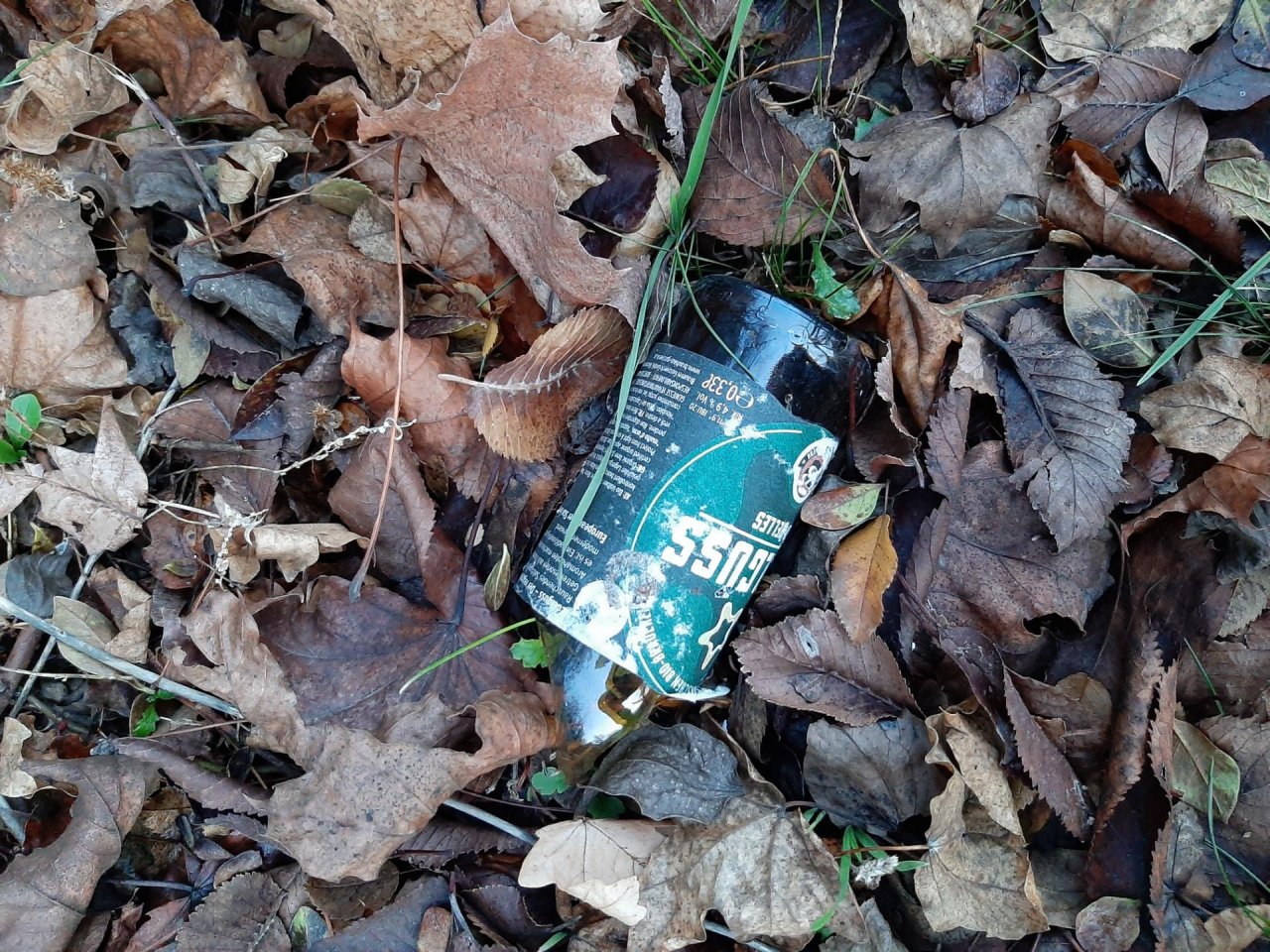 litter in DRECKSPOTZ | GLOBAL 2000 App spotted by Gudrun H. on 29.12.2020