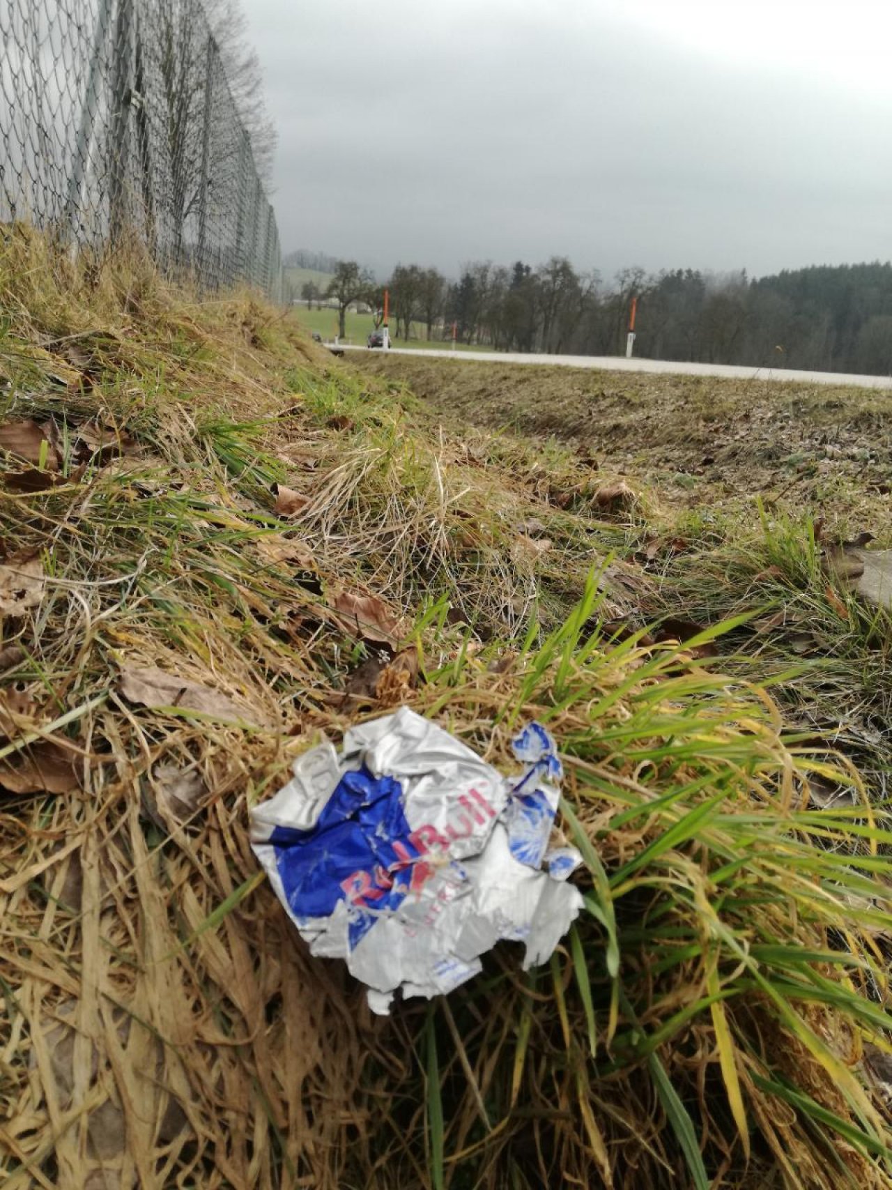 litter in DRECKSPOTZ | GLOBAL 2000 App spotted by Brigitte on 06.02.2021