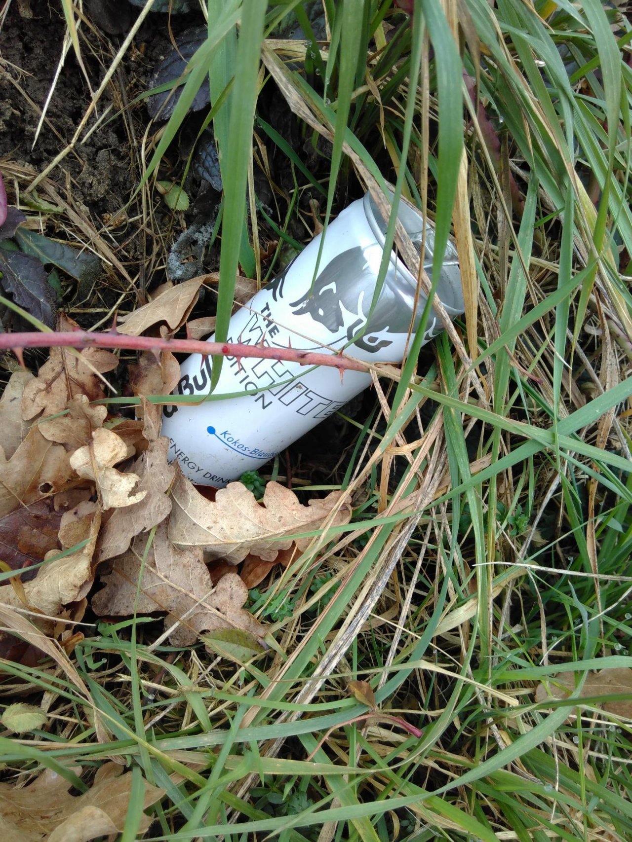 litter in DRECKSPOTZ | GLOBAL 2000 App spotted by Verena on 02.01.2021