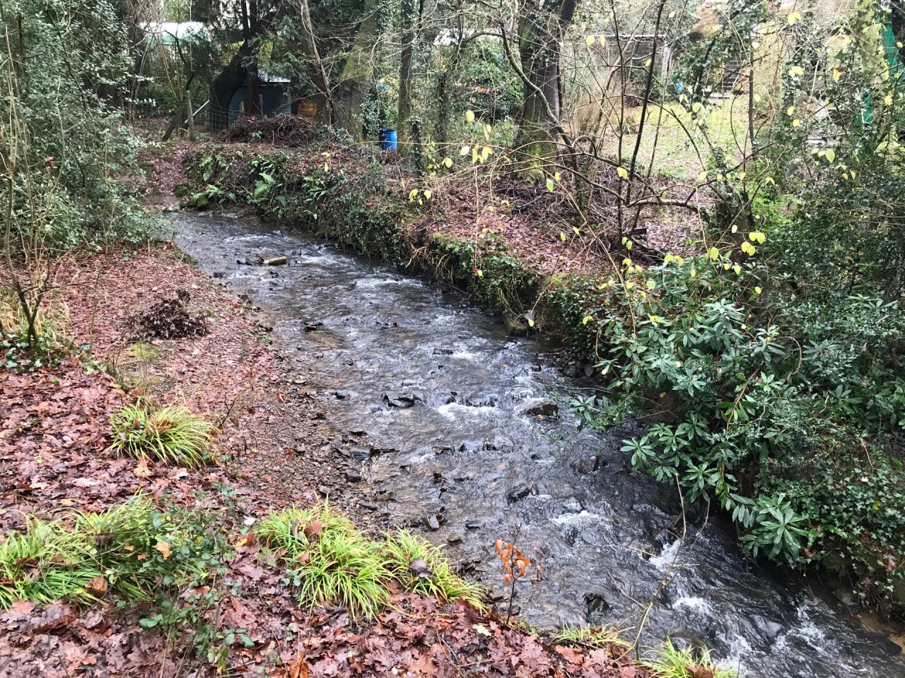 temporary stream in CrowdWater App spotted by Frances Attwood on 17.12.2020