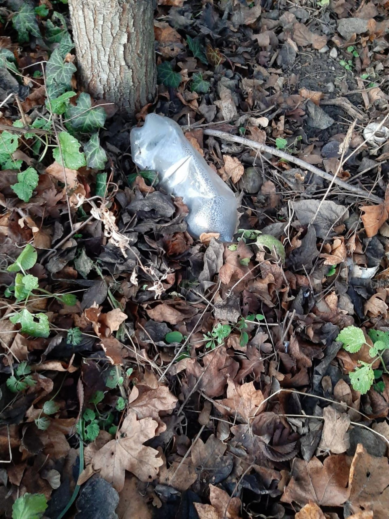 litter in DRECKSPOTZ | GLOBAL 2000 App spotted by Dreckspitz on 31.12.2020