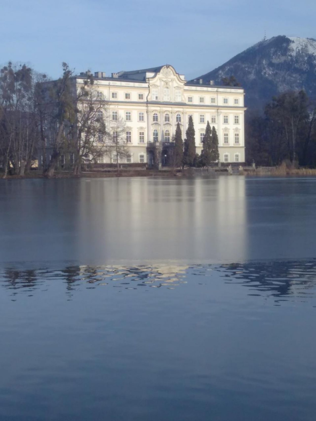 Eis auf Bächen und Teichen in Naturkalender App spotted by Doris Stampfer on 29.12.2020