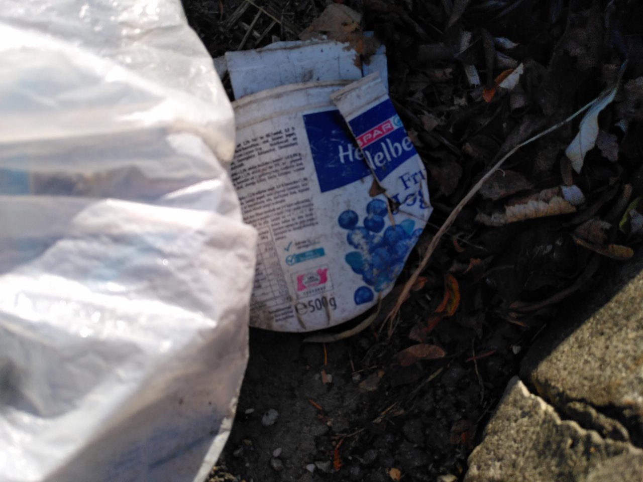 litter in DRECKSPOTZ | GLOBAL 2000 App spotted by TheOSWR on 27.12.2020