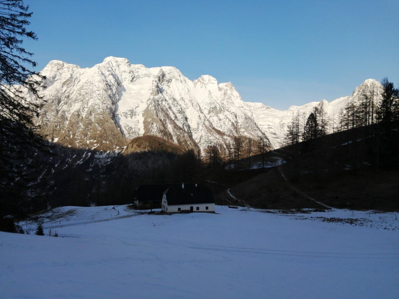 Ende der zusammenhängenden Schneedecke in Naturkalender App spotted by Wolfgang on 18.02.2021