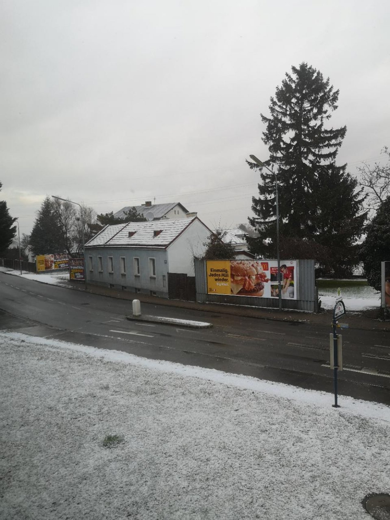 Zusammenhängende Schneedecke in Naturkalender App spotted by Karluise on 28.01.2021