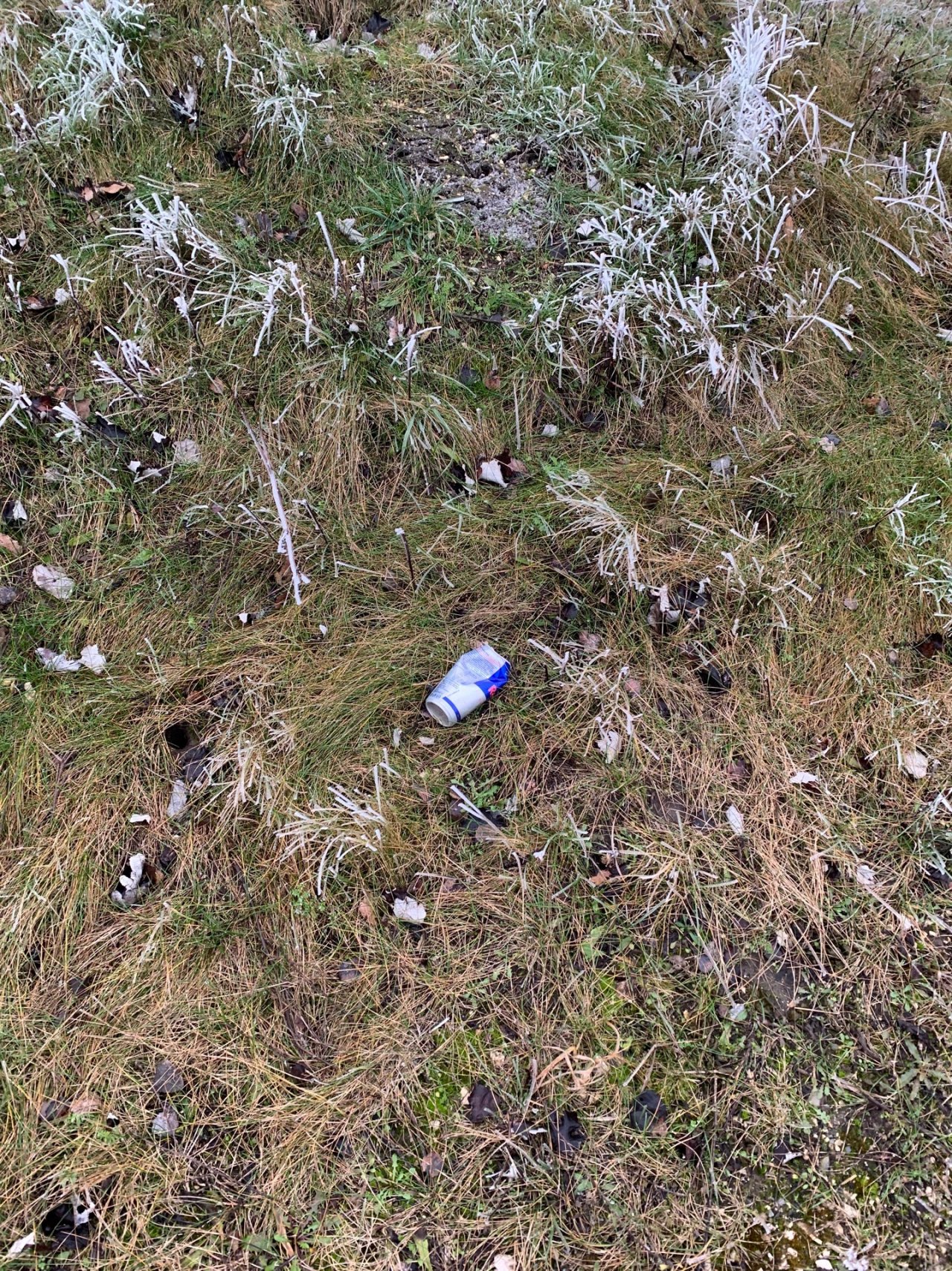 litter in DRECKSPOTZ | GLOBAL 2000 App spotted by Anna Graf on 01.01.2021