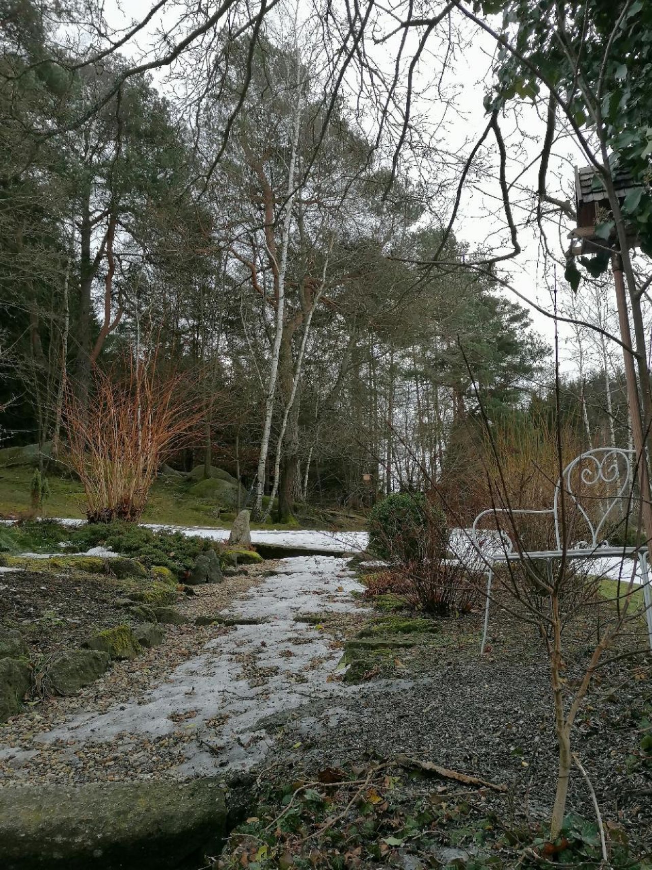 Ende der zusammenhängenden Schneedecke in Naturkalender App spotted by Brigitte Ratzenbeck on 30.01.2021