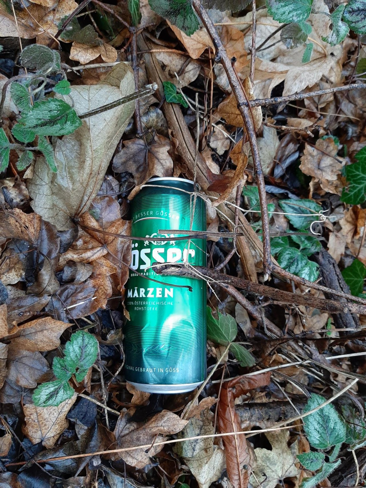 litter in DRECKSPOTZ | GLOBAL 2000 App spotted by Gudrun H. on 30.12.2020