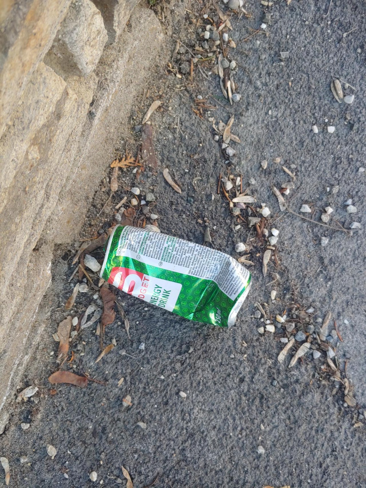 litter in DRECKSPOTZ | GLOBAL 2000 App spotted by Christian Kantner on 13.02.2021