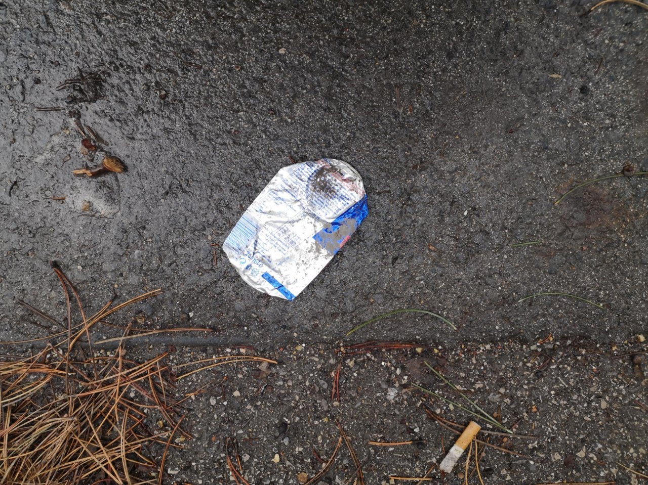 litter in DRECKSPOTZ | GLOBAL 2000 App spotted by Dosimeter on 18.02.2021