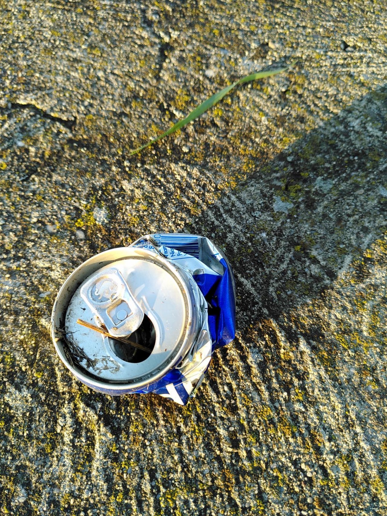 litter in DRECKSPOTZ | GLOBAL 2000 App spotted by TheOSWR on 30.12.2020