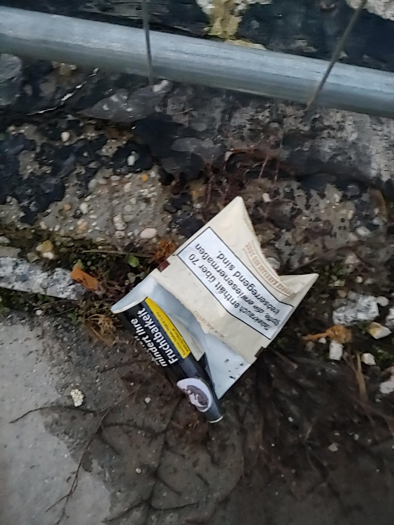 litter in DRECKSPOTZ | GLOBAL 2000 App spotted by Christian Kantner on 06.01.2021