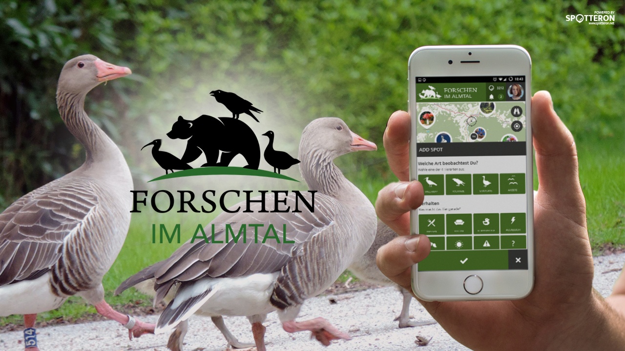 Forschen im Almtal