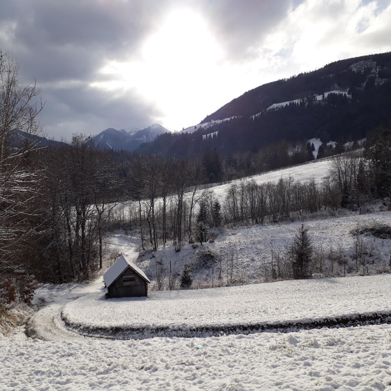 Zusammenhängende Schneedecke in Naturkalender App spotted by Bienenvater on 26.12.2020