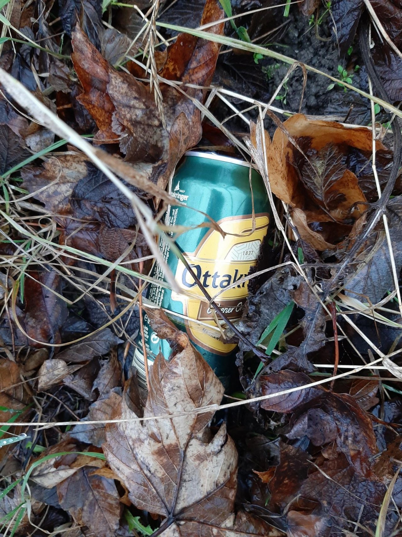 litter in DRECKSPOTZ | GLOBAL 2000 App spotted by Gudrun H. on 04.01.2021