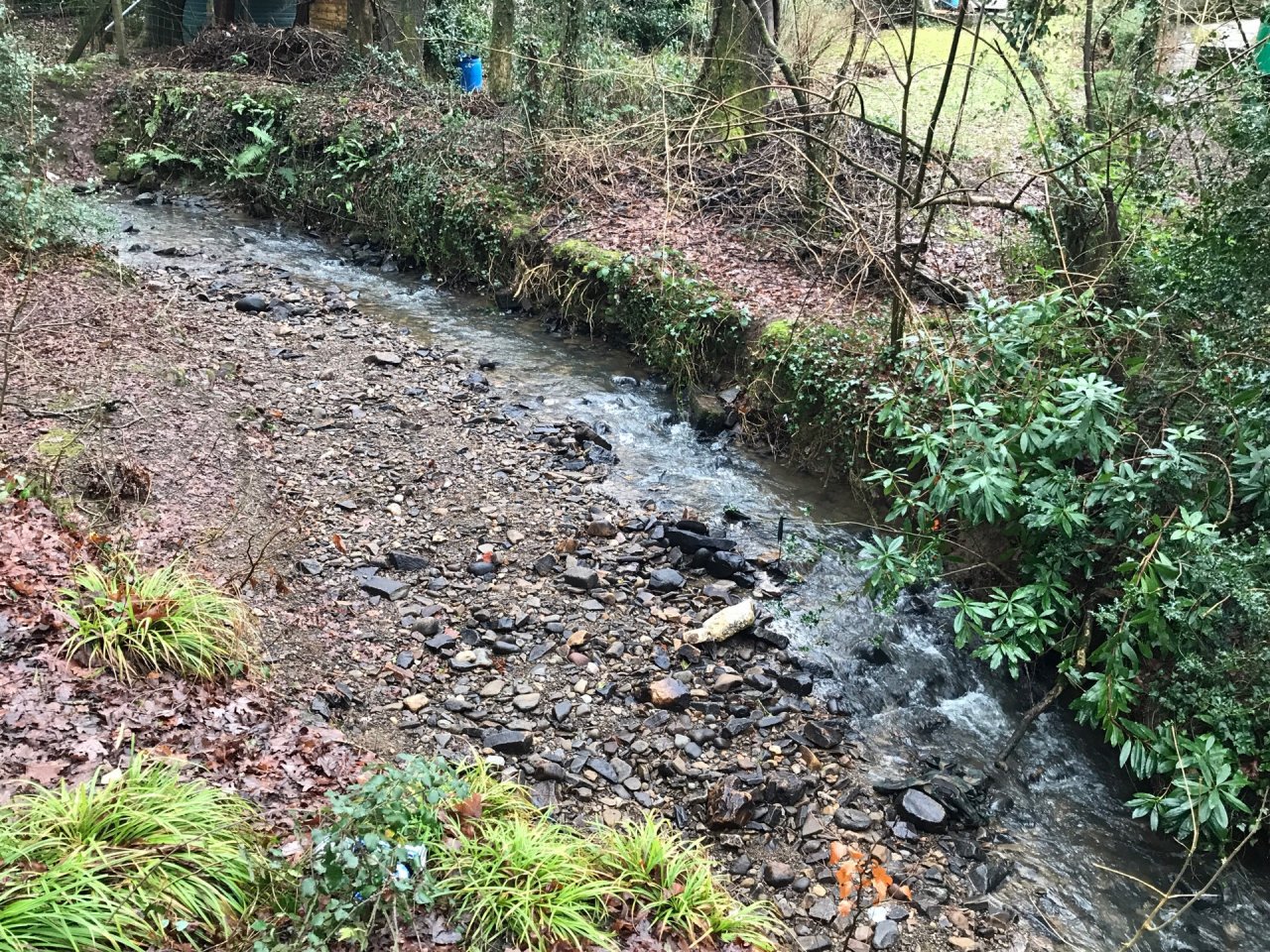 temporary stream in CrowdWater App spotted by Frances Attwood on 12.01.2021