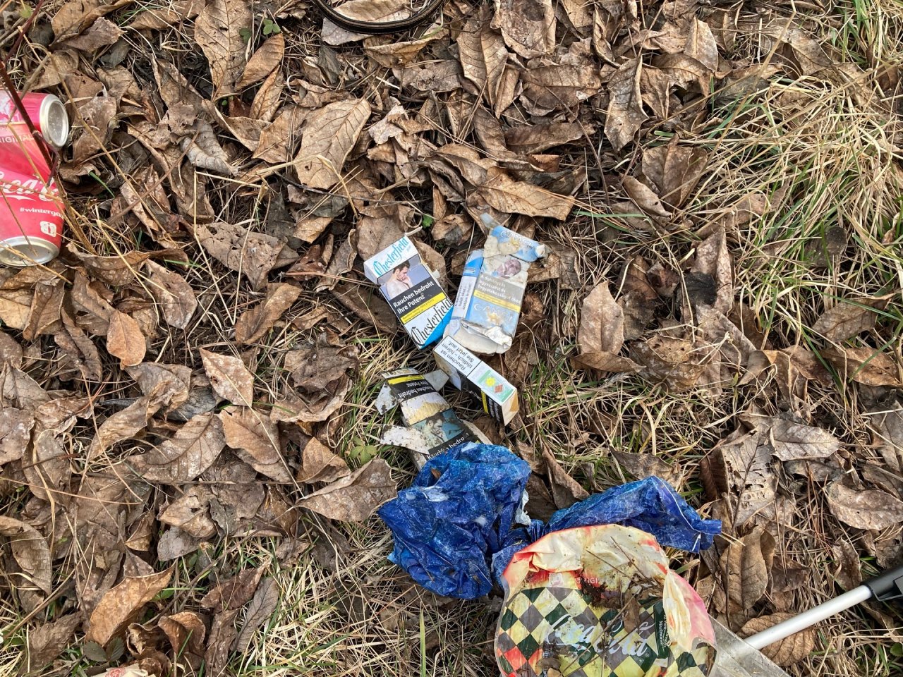 litter in DRECKSPOTZ | GLOBAL 2000 App spotted by braderies on 23.02.2021