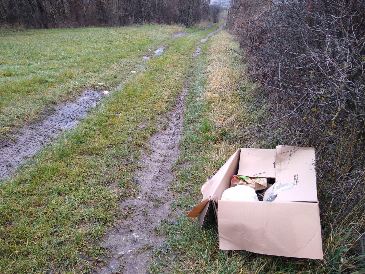 litter in DRECKSPOTZ | GLOBAL 2000 App spotted by Hannes Rammler on 26.12.2020