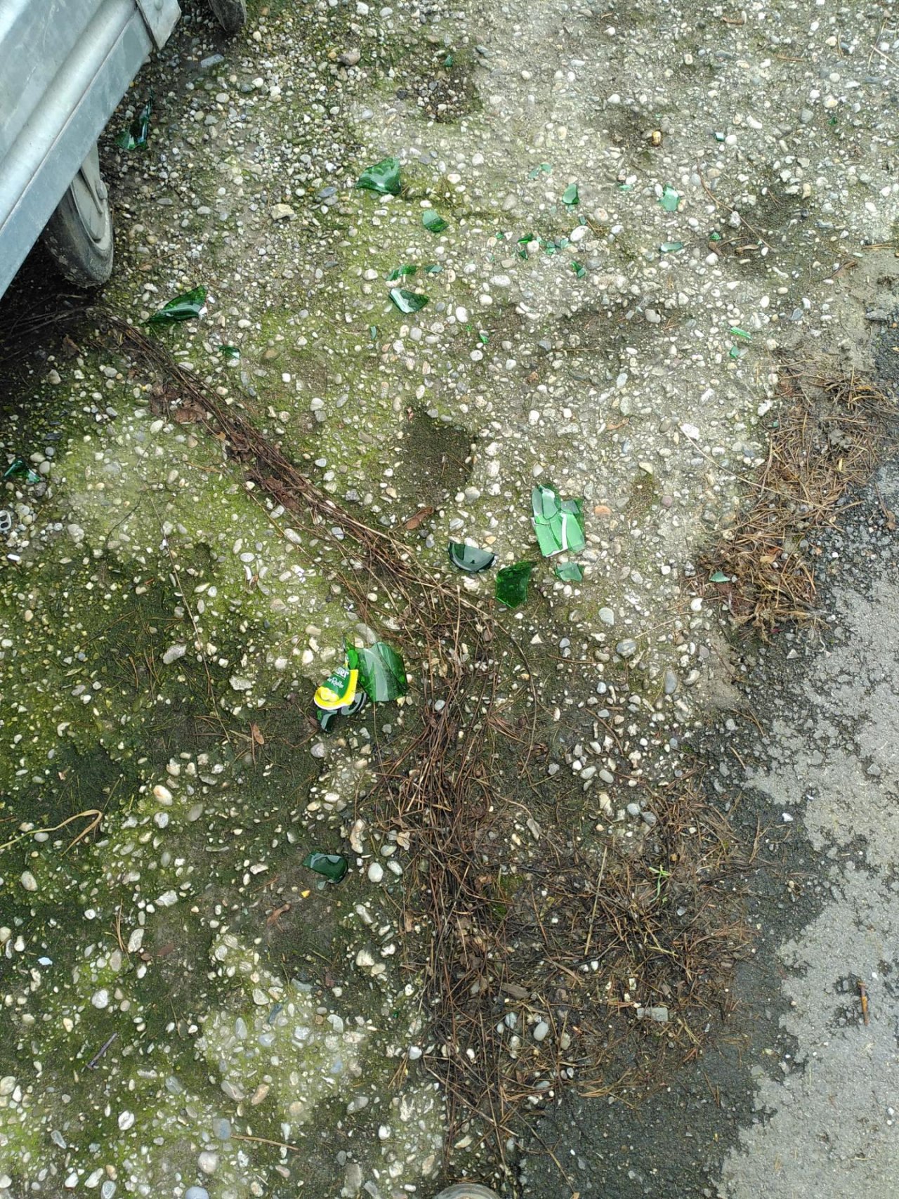 litter in DRECKSPOTZ | GLOBAL 2000 App spotted by TheOSWR on 26.12.2020