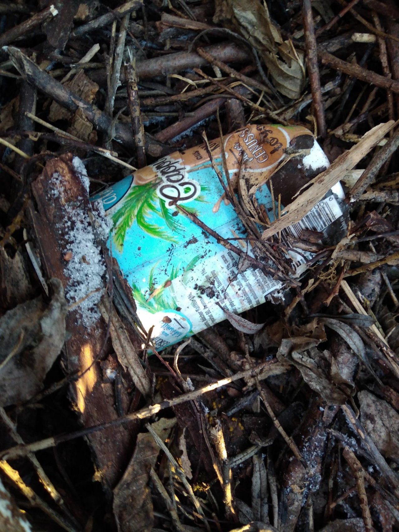 litter in DRECKSPOTZ | GLOBAL 2000 App spotted by Roland Bliem on 15.02.2021