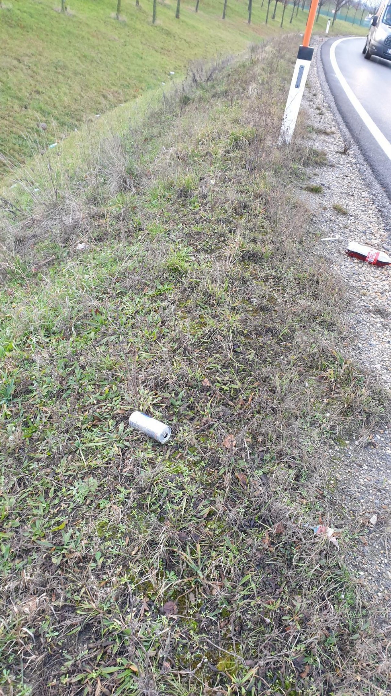 litter in DRECKSPOTZ | GLOBAL 2000 App spotted by Matthias Entner on 30.12.2020