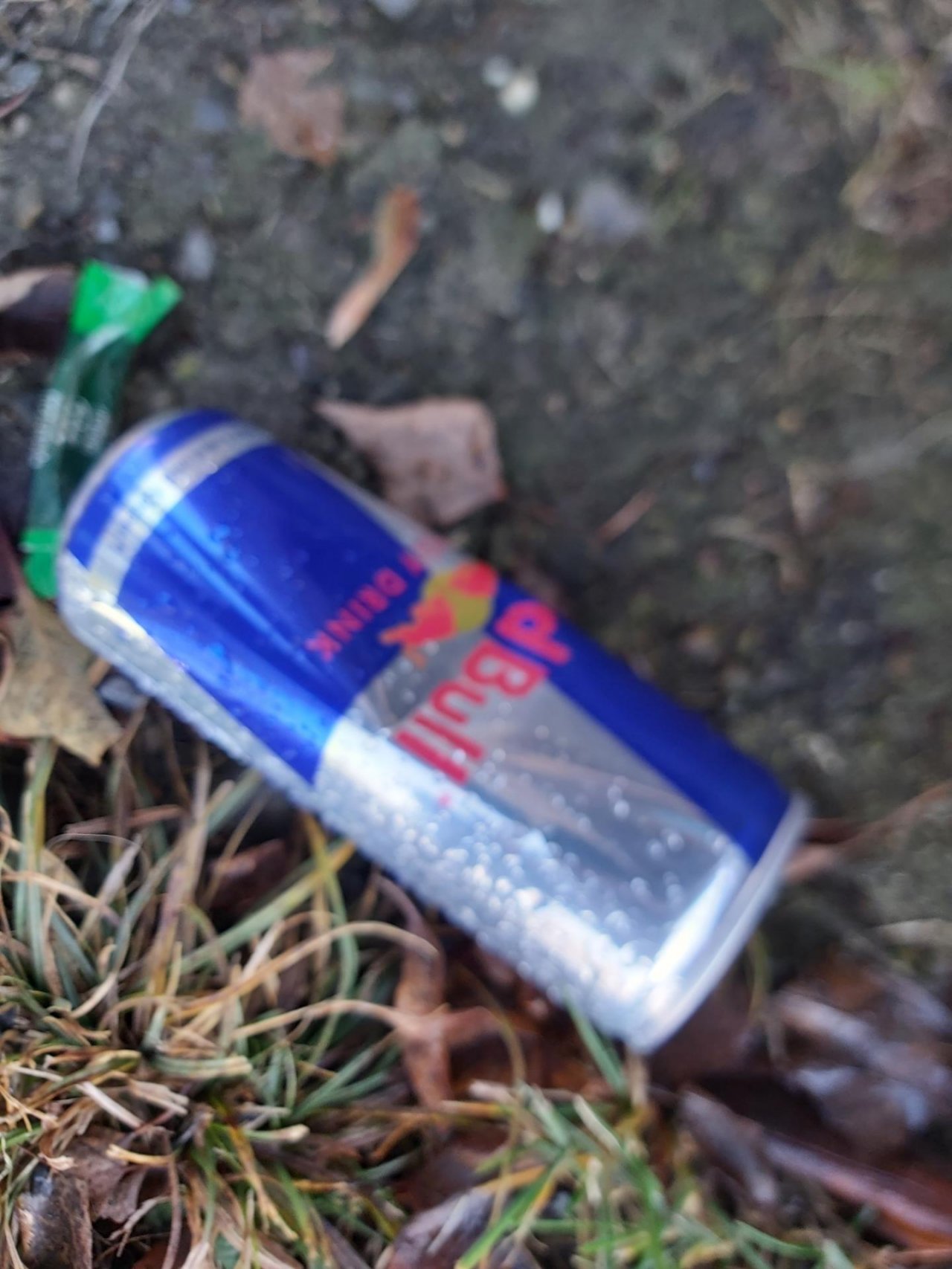 litter in DRECKSPOTZ | GLOBAL 2000 App spotted by Harald MARK on 26.12.2020