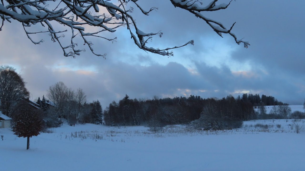 Sonstiges in Landauf, LandApp BW App spotted by Elfriede Birkenmayer on 31.12.2020