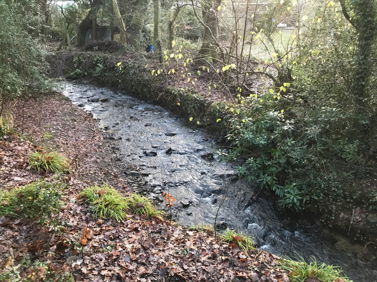 temporary stream in CrowdWater App spotted by Frances Attwood on 15.12.2020