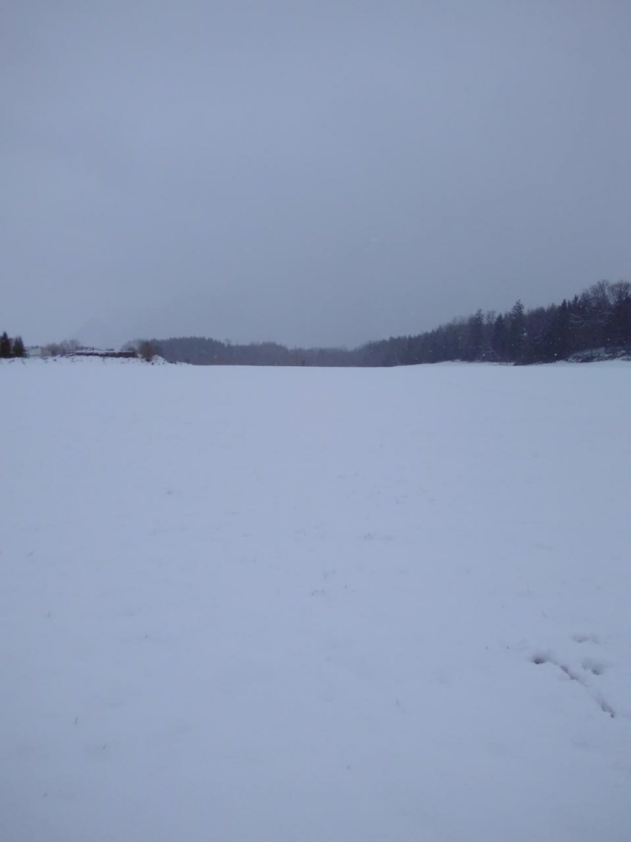 Zusammenhängende Schneedecke in Naturkalender App spotted by Doris Stampfer on 18.01.2021