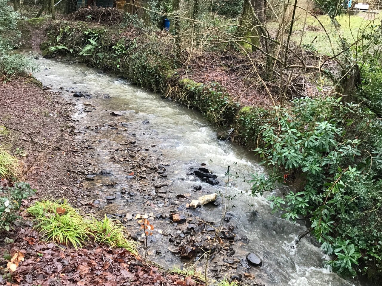 temporary stream in CrowdWater App spotted by Frances Attwood on 19.01.2021