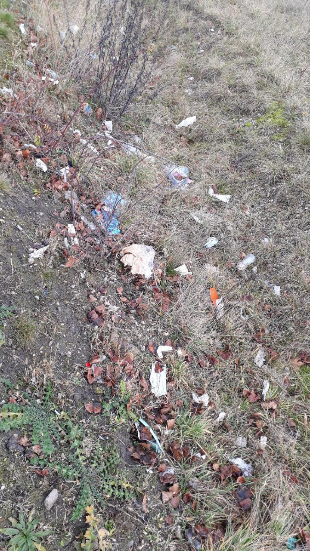 litter in DRECKSPOTZ | GLOBAL 2000 App spotted by GeoNettl on 25.12.2020