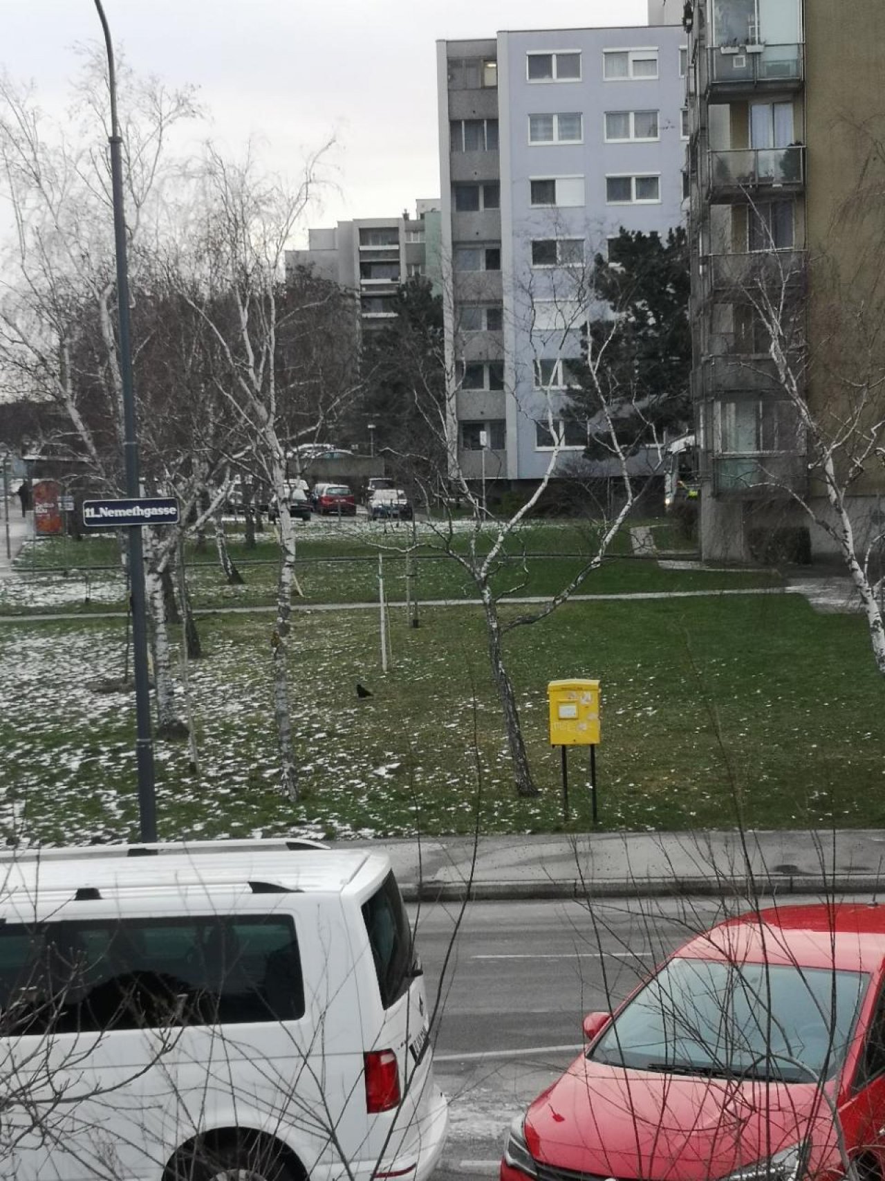 Ende der zusammenhängenden Schneedecke in Naturkalender App spotted by Karluise on 19.01.2021