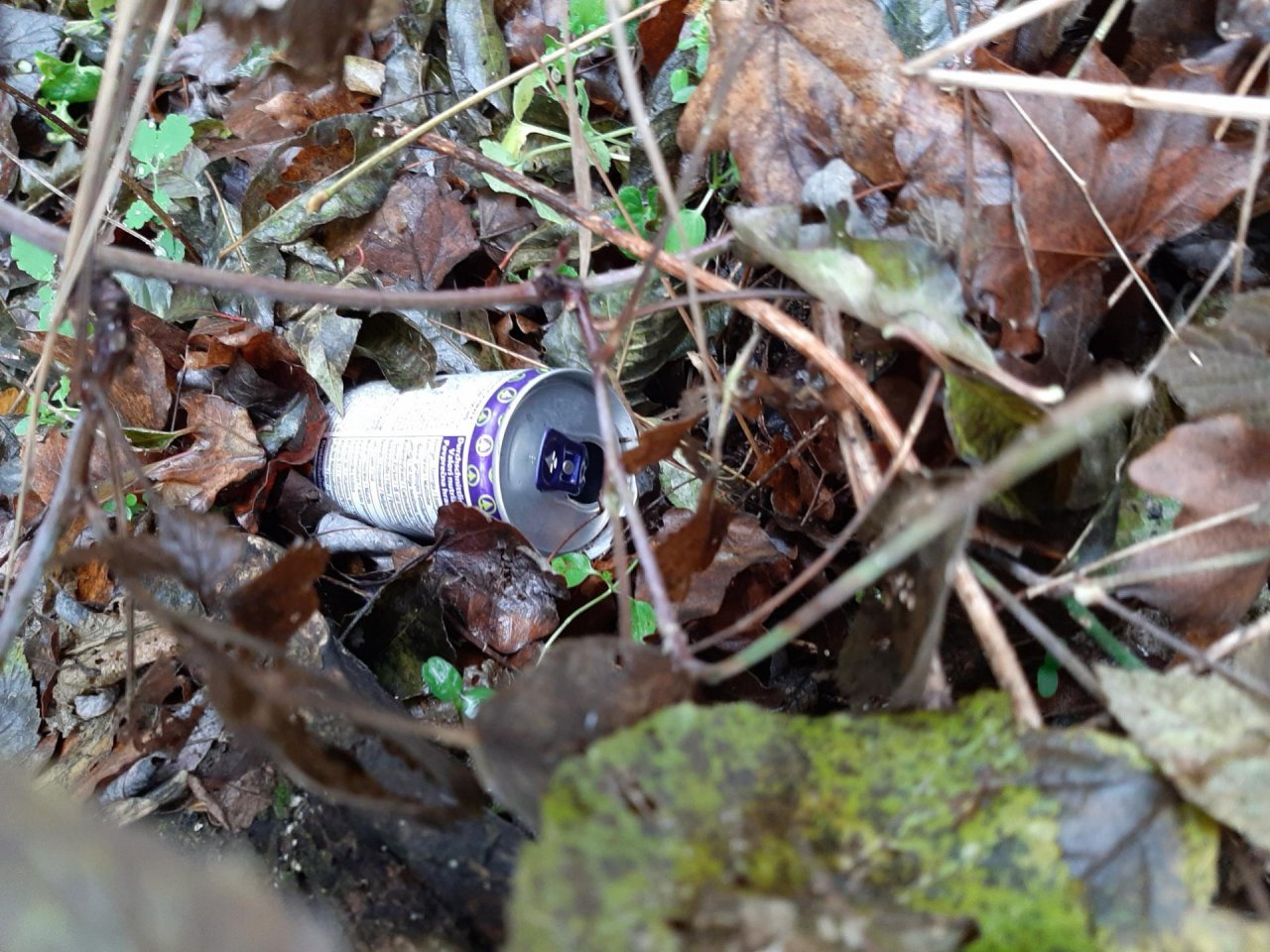 litter in DRECKSPOTZ | GLOBAL 2000 App spotted by Gudrun H. on 25.12.2020