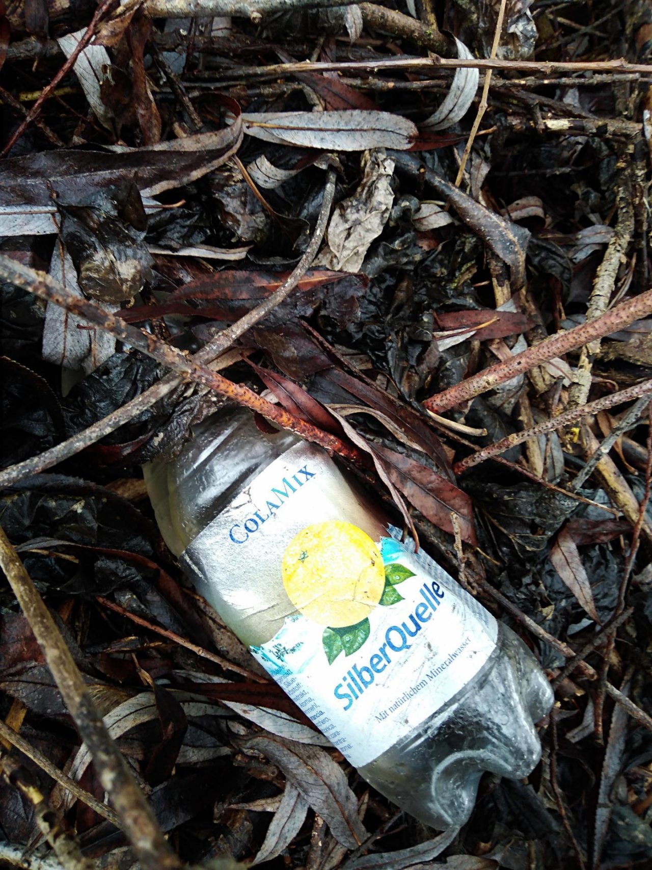 litter in DRECKSPOTZ | GLOBAL 2000 App spotted by Roland Bliem on 05.03.2021