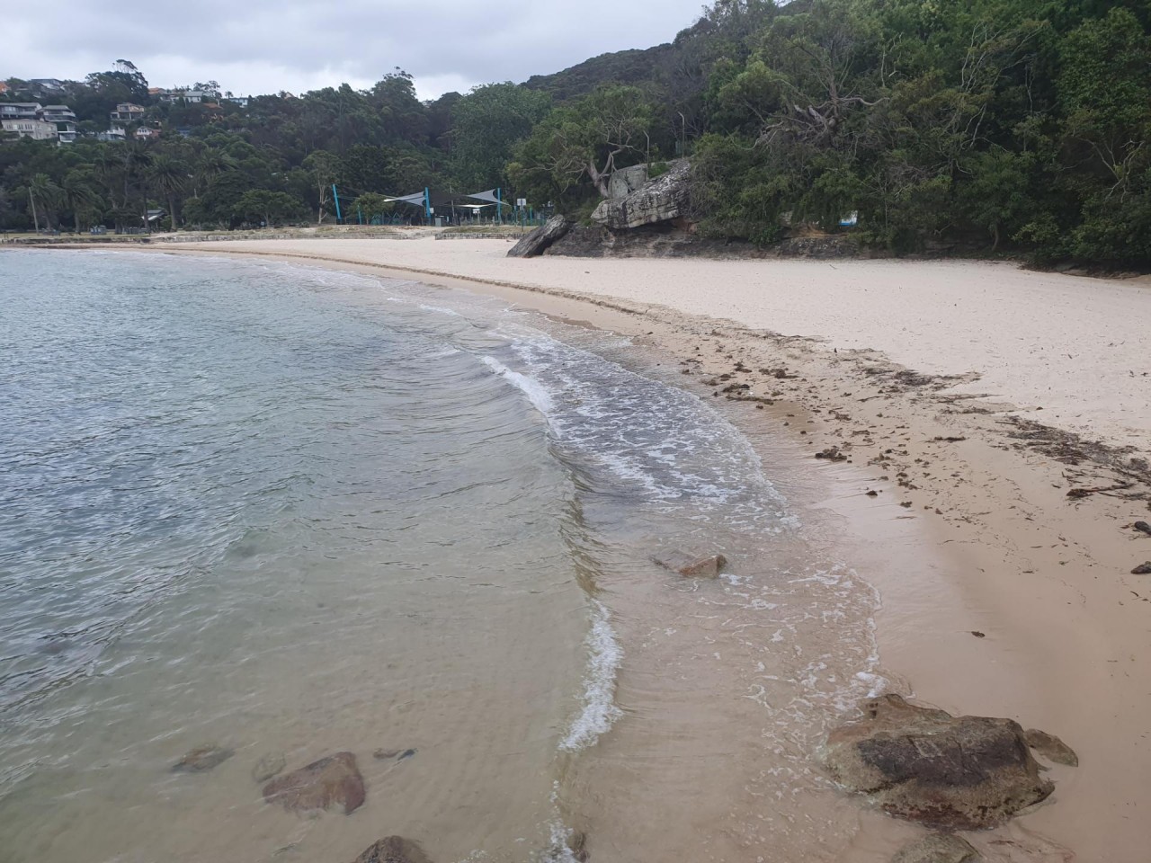 10-20cm erosion scarp after the strong southerly came through | CoastSnap App 