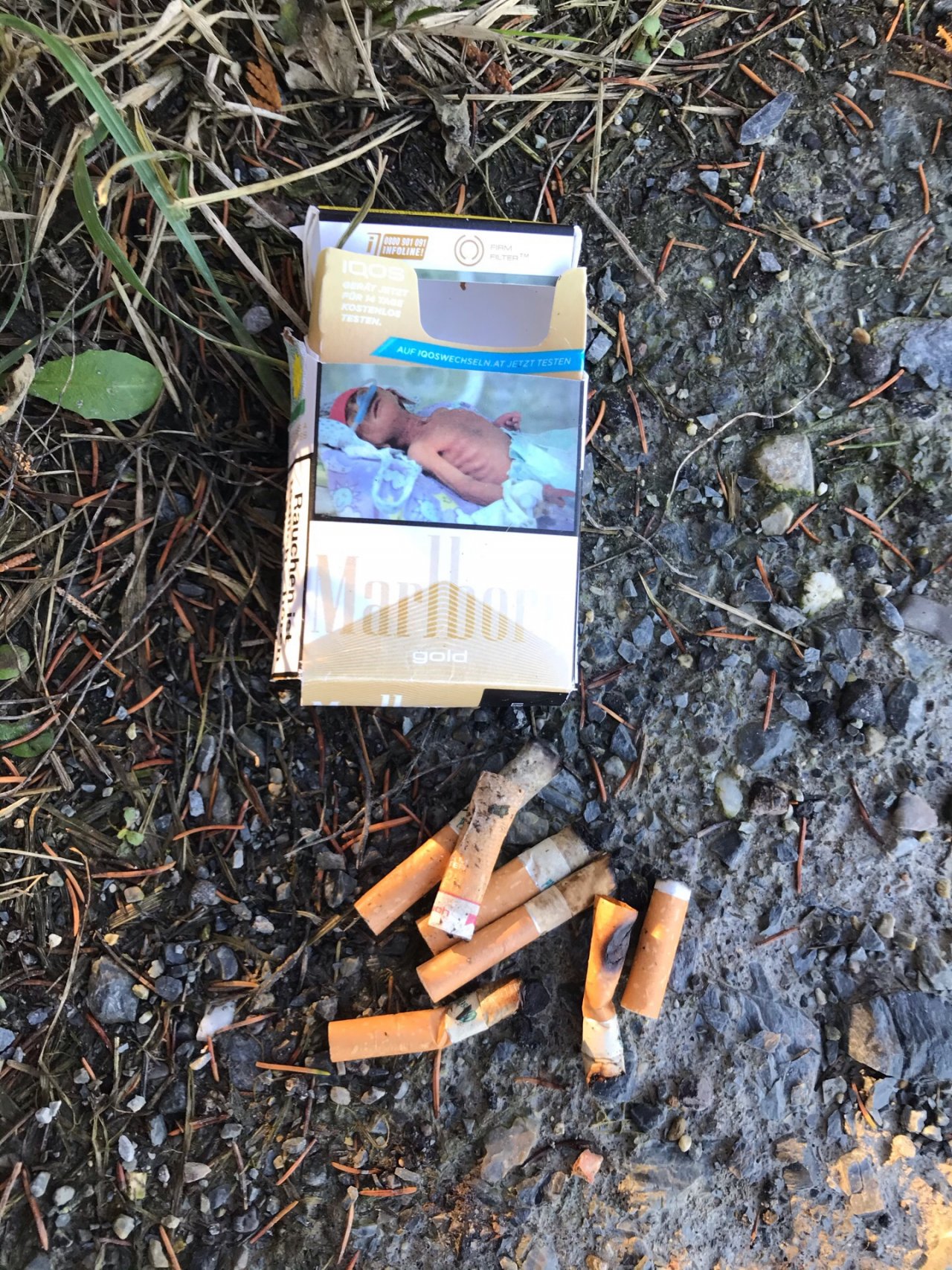 litter in DRECKSPOTZ | GLOBAL 2000 App spotted by Gabriele Kriz on 31.12.2020