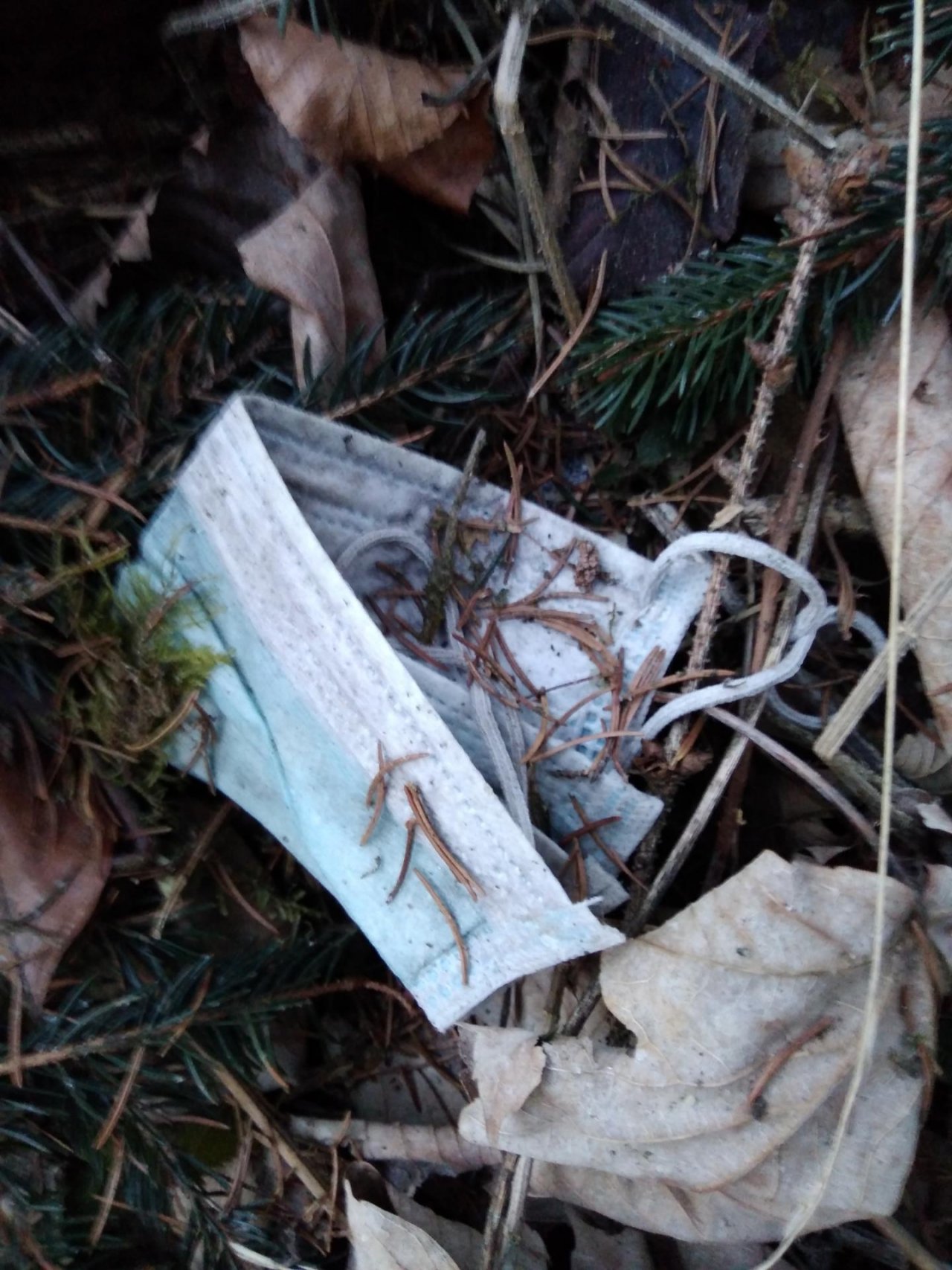 litter in DRECKSPOTZ | GLOBAL 2000 App spotted by Roland Bliem on 14.02.2021