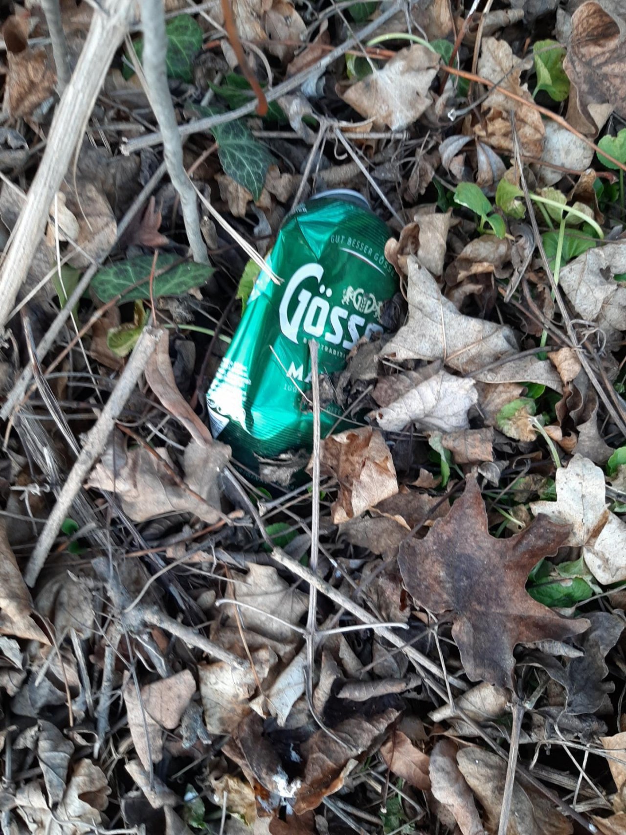 litter in DRECKSPOTZ | GLOBAL 2000 App spotted by Gudrun H. on 01.03.2021