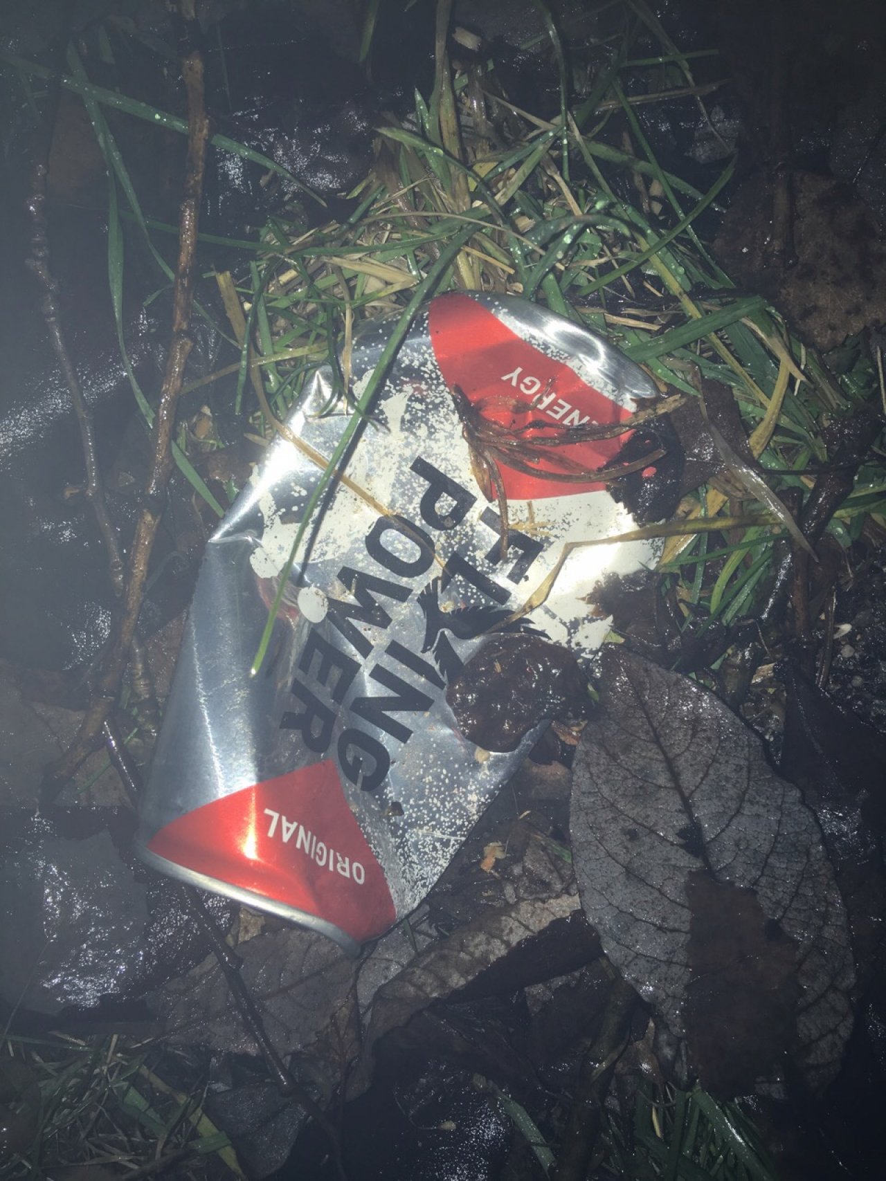 litter in DRECKSPOTZ | GLOBAL 2000 App spotted by Baumi21 on 24.12.2020