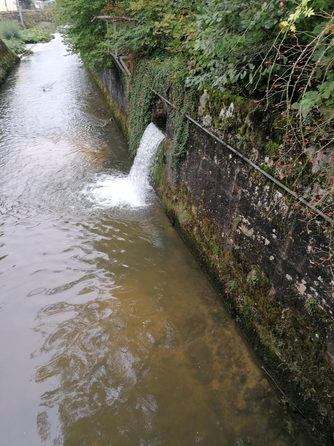 stream type in CrowdWater App spotted by mm4144 on 29.09.2020