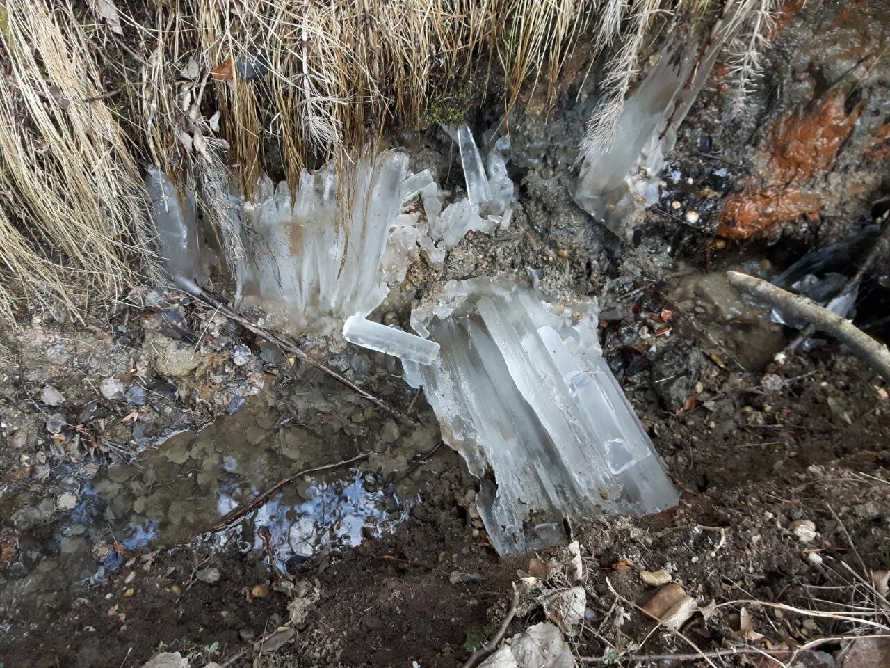 Eis auf Bächen und Teichen in Naturkalender App spotted by Thomas Pfeifhofer on 17.02.2021