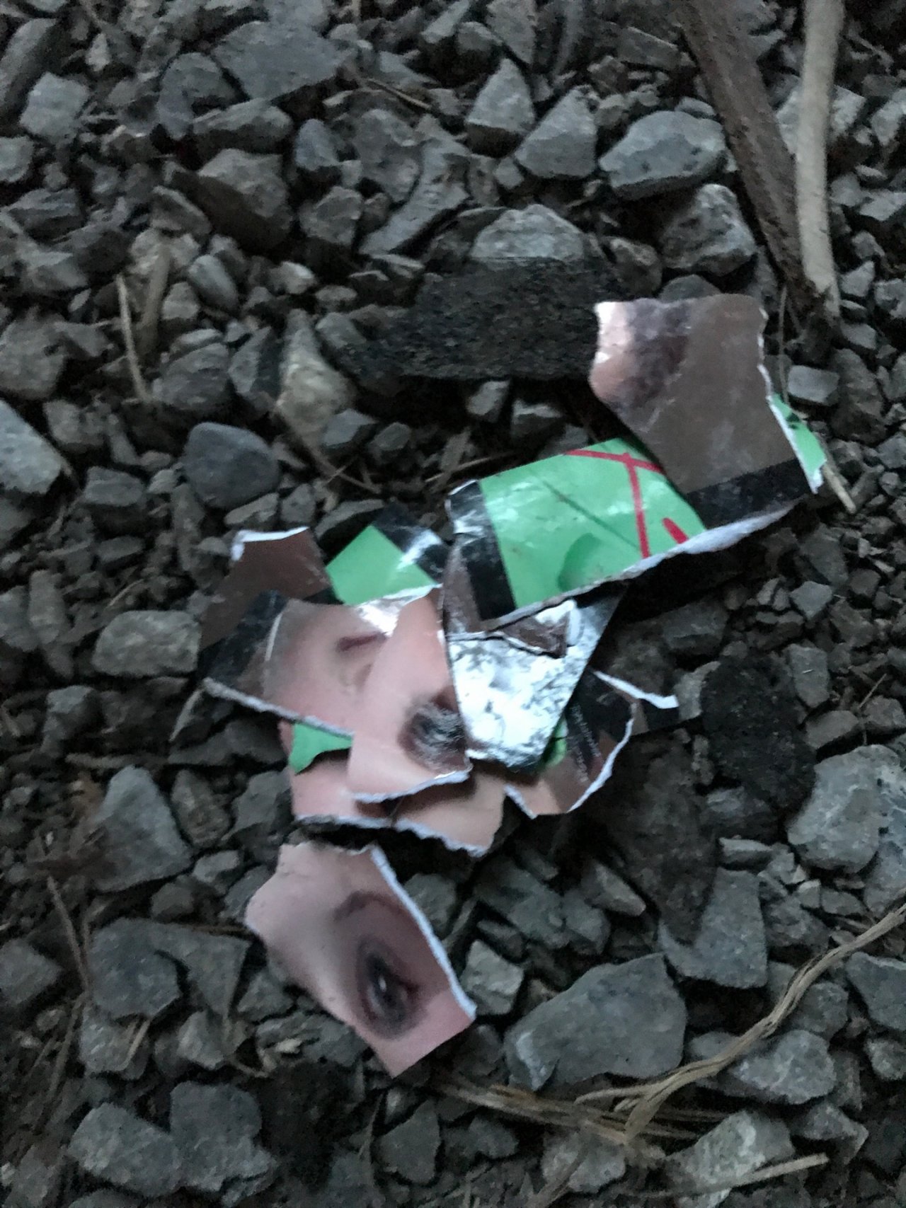 litter in DRECKSPOTZ | GLOBAL 2000 App spotted by Baumi21 on 18.02.2021