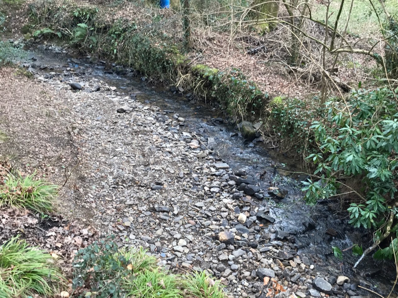 temporary stream in CrowdWater App spotted by Frances Attwood on 11.02.2021