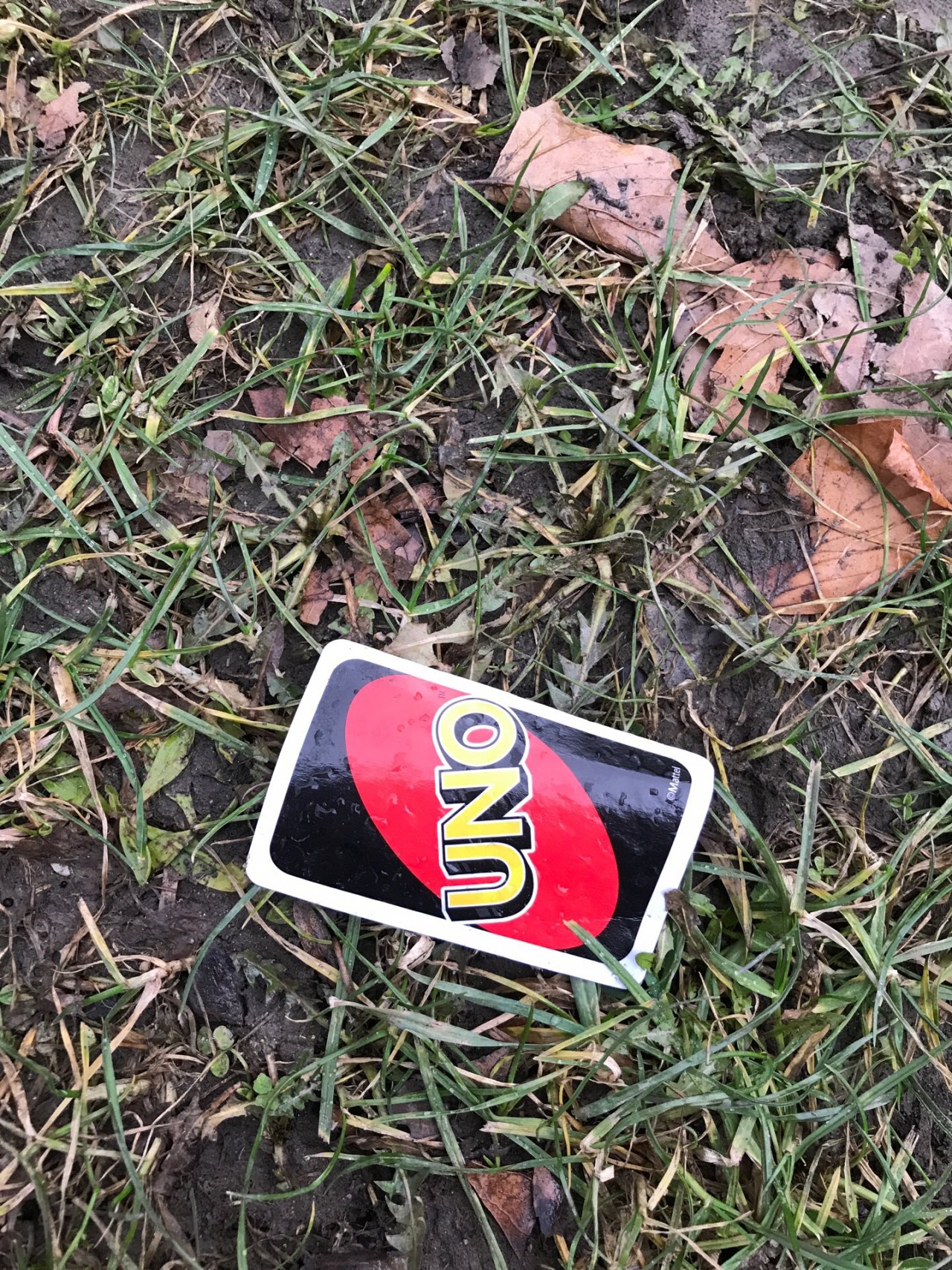 litter in DRECKSPOTZ | GLOBAL 2000 App spotted by Gabriele Kriz on 23.01.2021