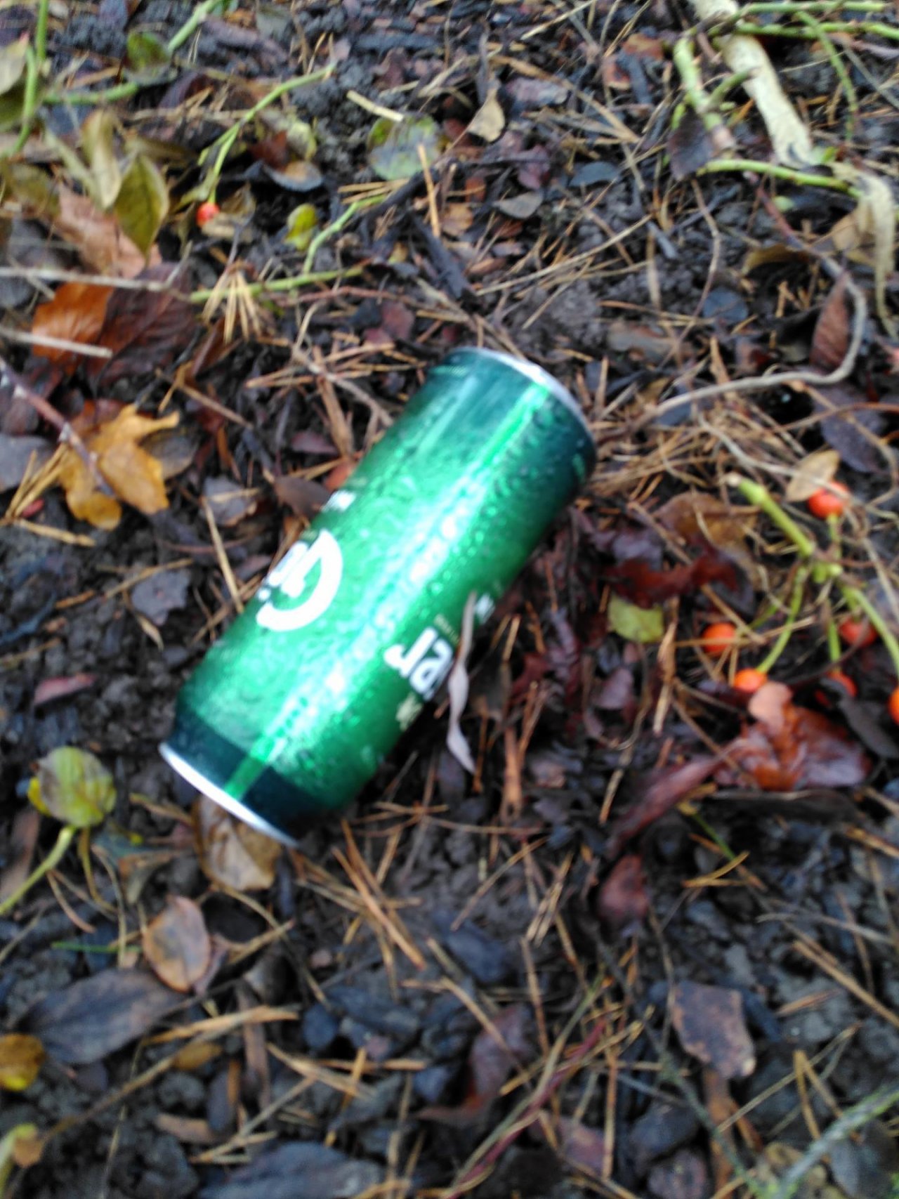 litter in DRECKSPOTZ | GLOBAL 2000 App spotted by TheOSWR on 05.01.2021