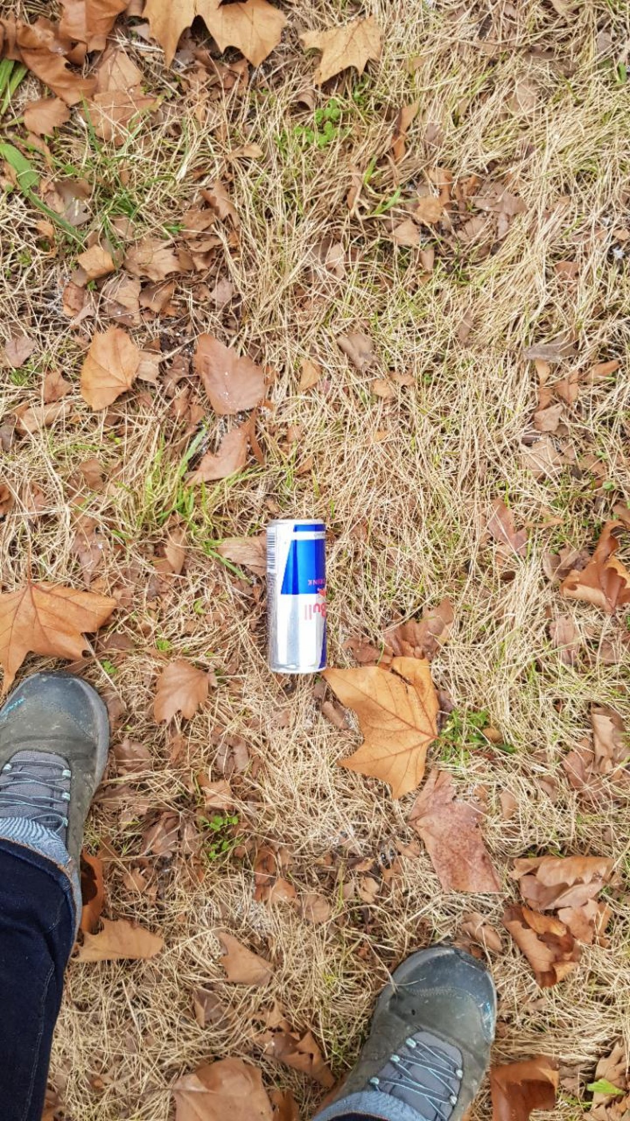 litter in DRECKSPOTZ | GLOBAL 2000 App spotted by Sommerphlox on 12.01.2021