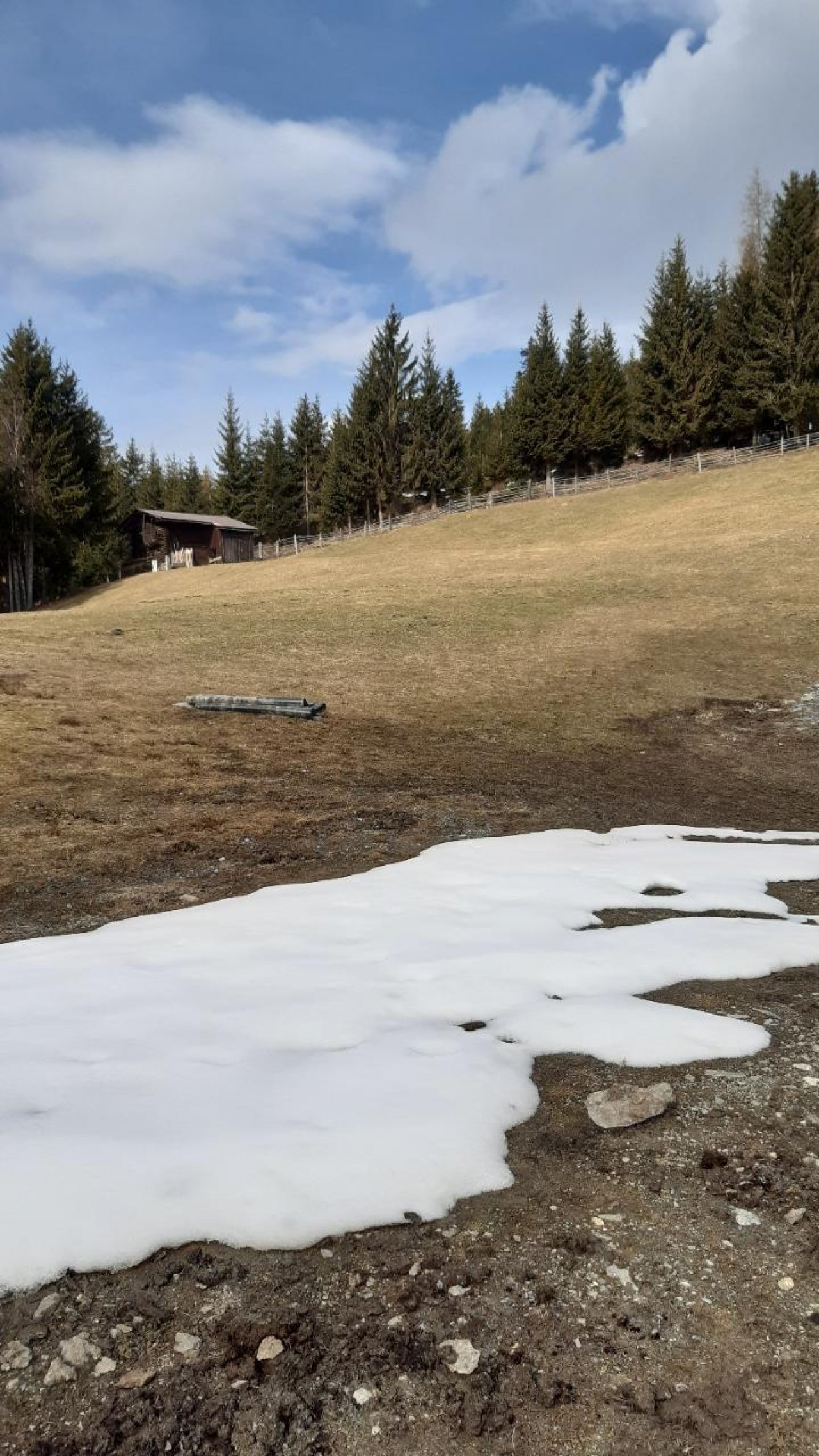 Ende der zusammenhängenden Schneedecke in Naturkalender App spotted by Steinbock on 09.03.2021