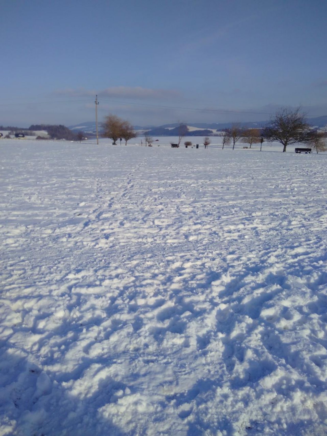 Zusammenhängende Schneedecke in Naturkalender App spotted by Doris Stampfer on 09.01.2021