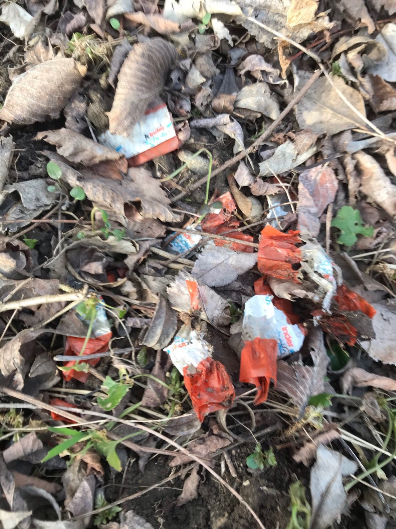 litter in DRECKSPOTZ | GLOBAL 2000 App spotted by Gabriele Kriz on 23.02.2021